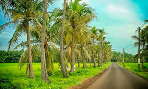 Konaseema